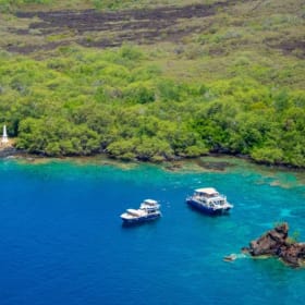 Fair Wind Cruises Snorkel for 2 (Value $234) item