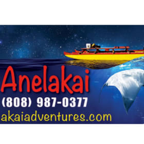 Night Manta Canoe Adventure for 2 (Value $379) item