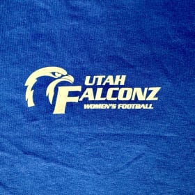 Baby Falconz Classic T-Shirts 2T item