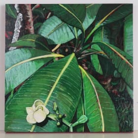 Unfurling, Kupukupu Camp by Kaiʻili Kaulukukui item