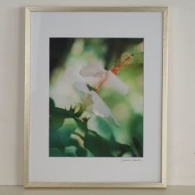 Double Hibiscus by Jessica Rodriguez item