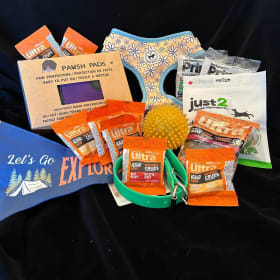 116 - Dog Gift Pack: treats, toys, drinking fountain, & more item