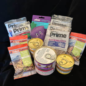 117 - Cat Gift Pack: automatic feeder, fancy food & treats item