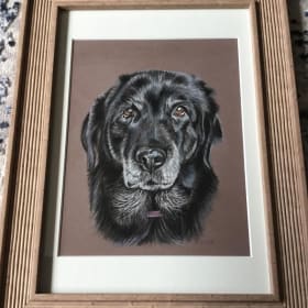 Custom Pet Portrait item