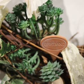 023 - Green Garden item