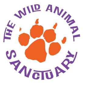 Up Close with Wildlife: The Wild Animal Sanctuary item