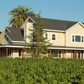 Viszlay Vineyards Guest House - bring friends! item