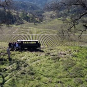 A vineyard safari at EHRET in Knights Valley item