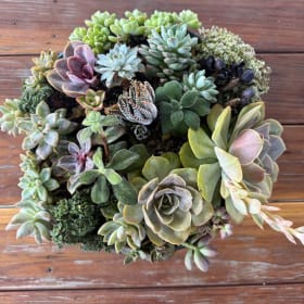 Succulent Delight item