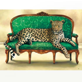 Leopard at Leisure Canvas Rolled & Stretched item