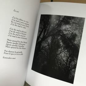 Des îlots par-dessus la grisaille item