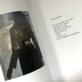 Des îlots par-dessus la grisaille item