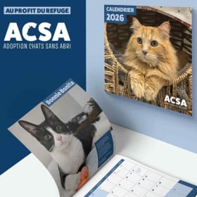 CALENDRIER 2026 - PETIT FORMAT item