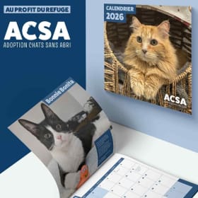 CALENDRIER 2026 - GRAND FORMAT item