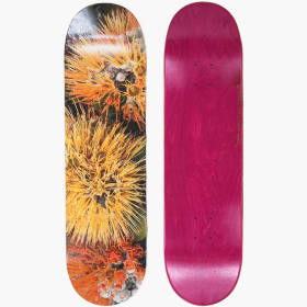 (SOLD) Conservation Cruisers- ʻŌhiʻa lehua by Megan Burris item