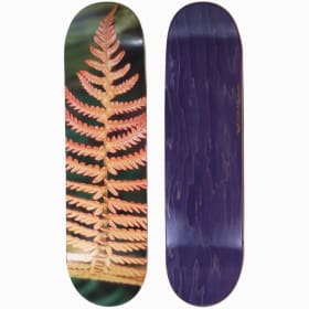 Conservation Cruisers- A new Ama'u fern by Megan Burris item