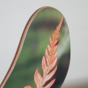 Conservation Cruisers- A new Ama'u fern by Megan Burris item