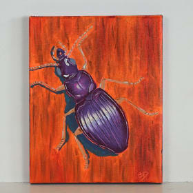 Grounded by Ellen Dunkle item