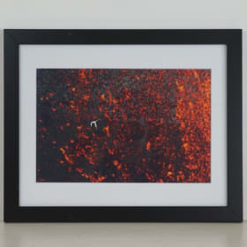 Koaʻe Kea by Ryan Ikeuchi item