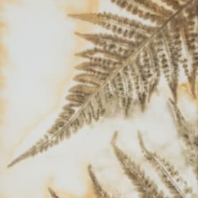 Fern Unfurled by Merdina Deva Gores item