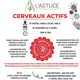 Cerveaux actifs item