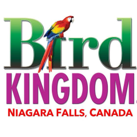 Discover the Kingdom! item