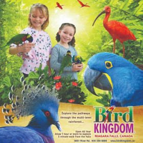 Discover the Kingdom! item