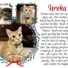 In store pickup item