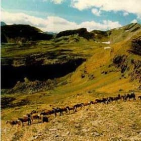 Timberline Tours Trail Ride for 2 item