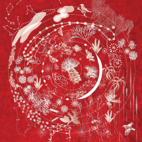 World of ʻŌhia by Erin Voss item