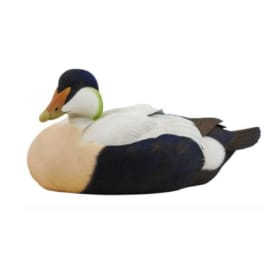 Ducks Unlimited Canada Decoy Of The Year – Common Eider item