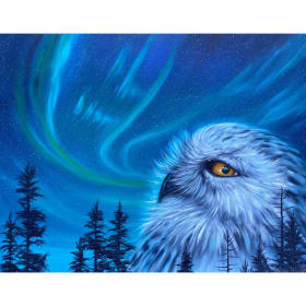 La magie boréale item