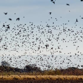 $1200 Gift Card from H&H Outfitters item