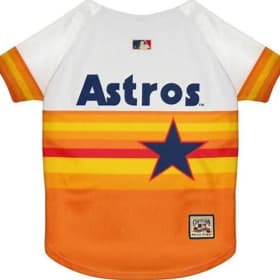 Crafty Canine - Astros Basket item