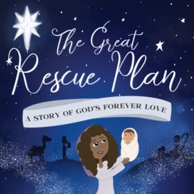 Limited Edition Hardcover: The Great Rescue Plan item