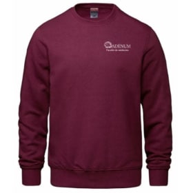 Crewneck simple item