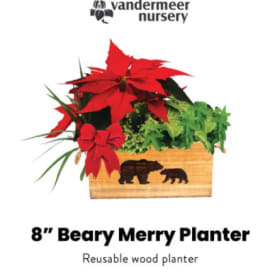 8" Berry Merry Planter item