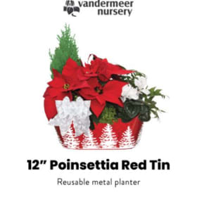 12" Red Poinsettia Tin item