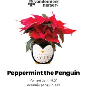 Peppermint the Penguin item