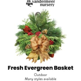 Fresh Evergreen Basket item