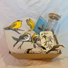 9: Birds, Birds, Birds item