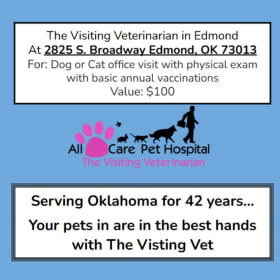 Puppy/kitten office visit/exam item