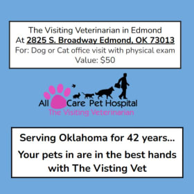 Dog or cat office visit item