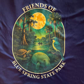 Sunshirt long and short sleeve item