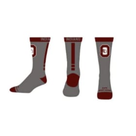 Adult Medium Gray Socks item