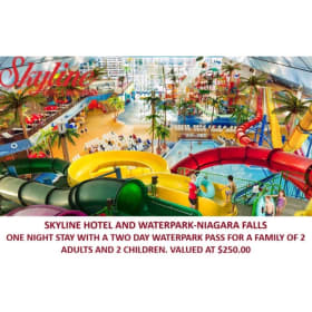 One Night Stay In Niagara Falls item