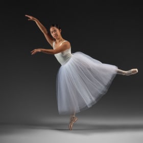 Adult Beginner Ballet item