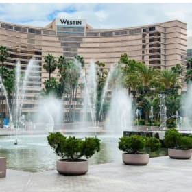 The Westin Long Beach & Dinner at Domenico's item
