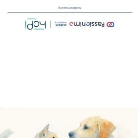 Carte hoPi &Passionimo item