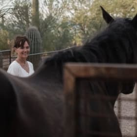 Congruence Tucson Somatic Experience w/ the herd item